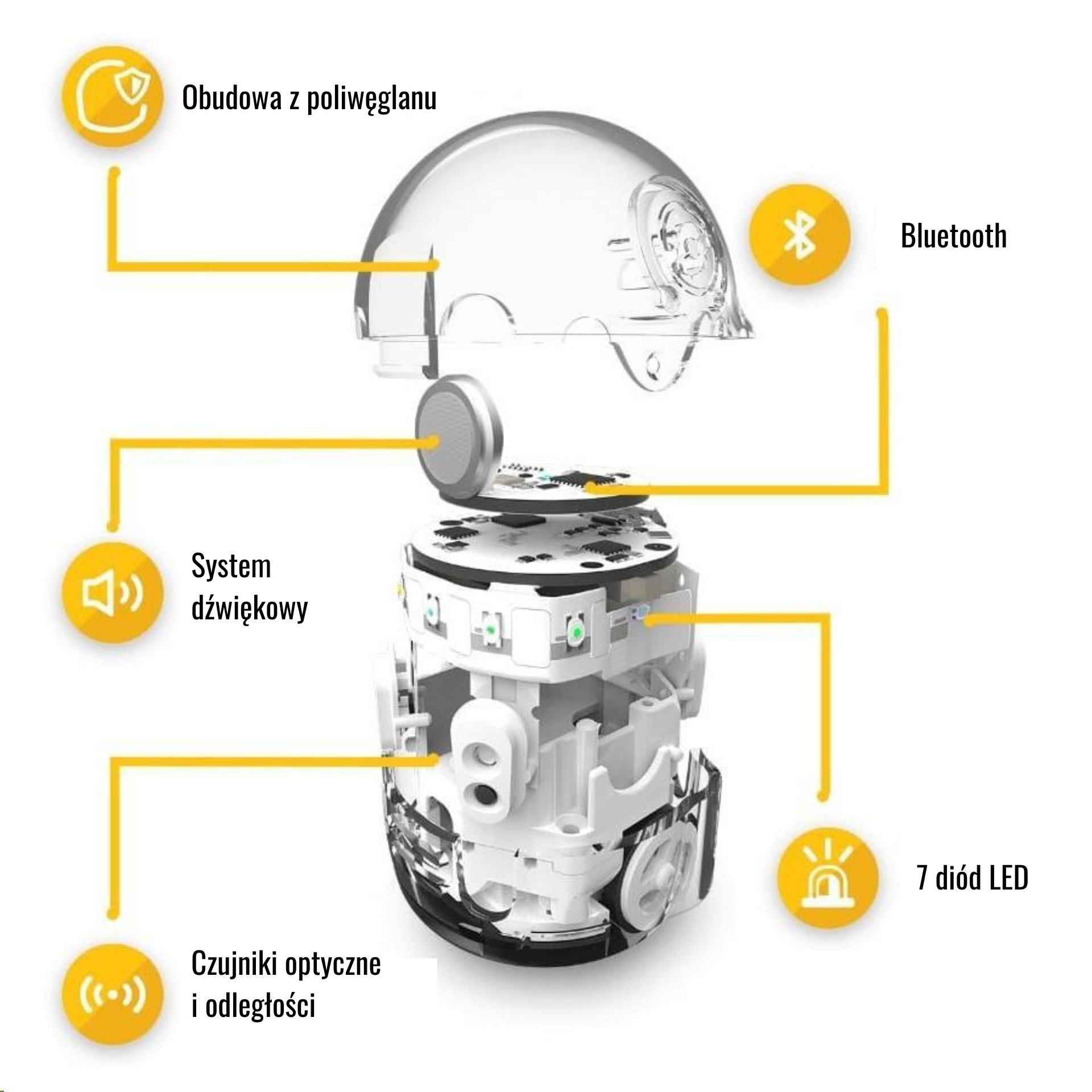 Podstawowe Funkcje Ozobota na którym edukujemy dzieci i młodzież w PBL Academy.